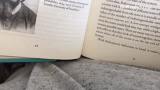 Man in grey tries to read cat under book