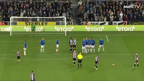 Newcastle United 3 Everton 1 _ Premier League Highlights