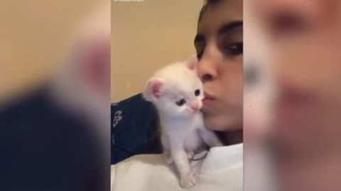 Kitten Kisses Owner Back On Cheek