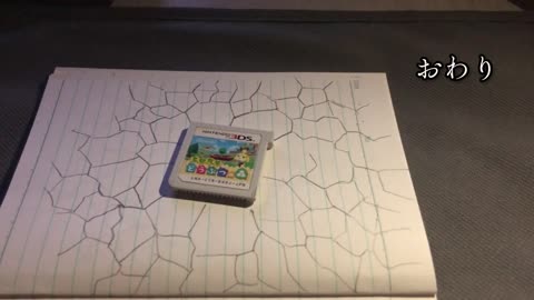 "I dropped a copy of Animal Crossing on top of my notebook. Just to see what would happen."