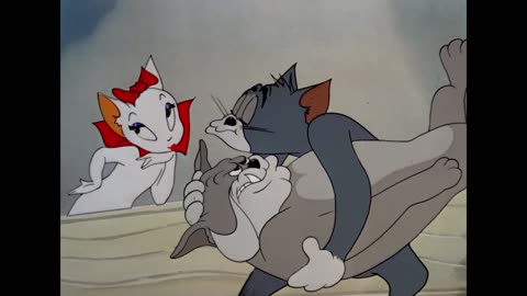 Tom Jerry Dogs VS Cats Classic Cartoon