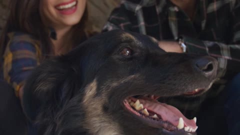 Happy couple petting their dog