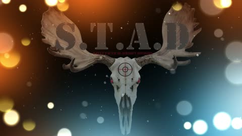 Sault Tactical Airsoft Division (S.T.A.D) Team Trailer Pt 1.