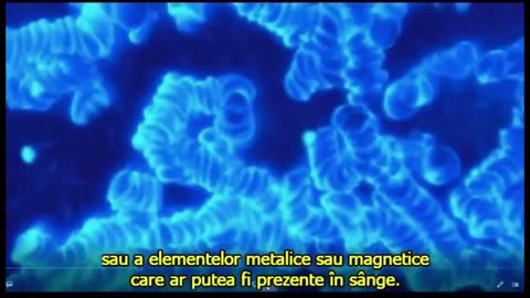 Sange & ARNm vaxx