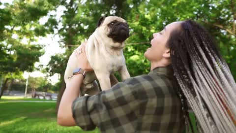 Dreadlocks woman happily throws the dog in the air in the park