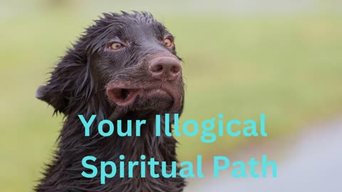 Your Illogical Spiritual Path ∞The 9D Arcturian Council, Channeled by Daniel Scranton 12-09-2022