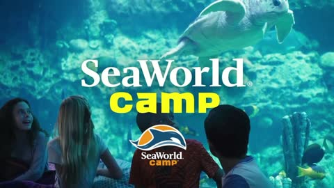 A Life-Changing Adventure At SeaWorld Orlando SeaWorld Camp
