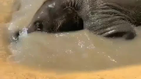 What a little darling enjoying his bath