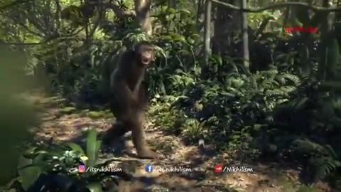 Monkey dance.mp4