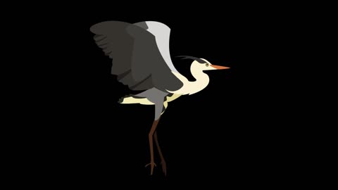 simple flat style animation animal bird heron mg