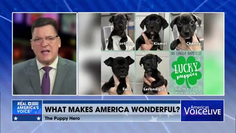 What Makes America Wonderful 🐶🐕