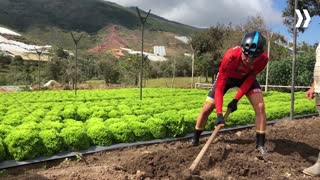 'Labrando' su camino hacia la cima