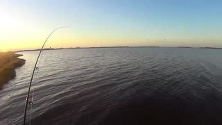 Catching a Sea Trout On a Fly Rod in the Banana River Lagoon