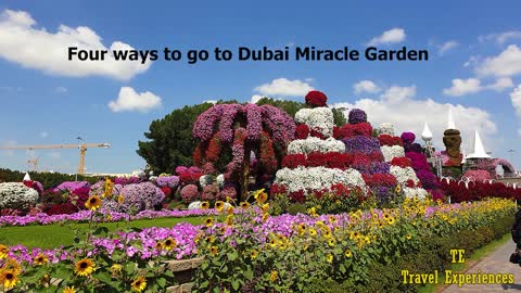 Dubai Miracle Garden 2019
