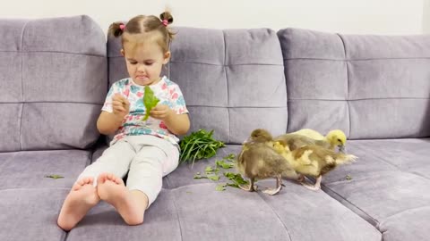 Cute_Baby_Feeding_Ducklings