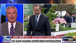 DOJ slow-walking Hunter Biden investigations