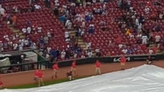 Tarp Runner Gets Caught Under Tarp