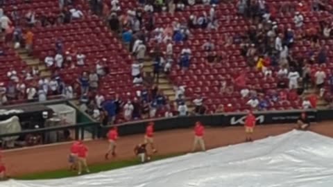 Tarp Runner Gets Caught Under Tarp