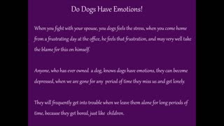 Do Dogs Have Emotions!