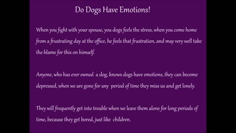 Do Dogs Have Emotions!