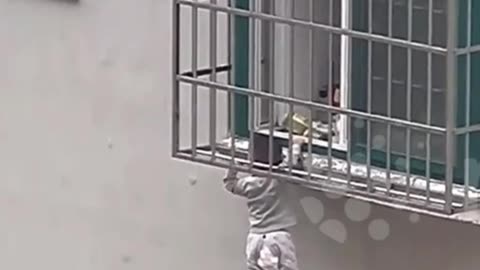 INSANE RESCUE IN CHINA! Locals save a boy from 4th-floor window in China #china #shorts #crazyvideo