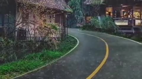 Beautiful Rain Scene | Rain video status | Rainy Season Status | Rain Feel | Videos Hub