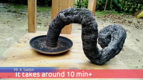 Blacksnake science experiment at home