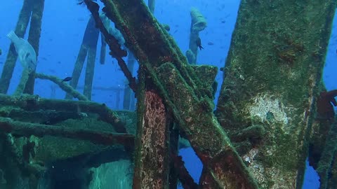 Ambient Underwater Exploration Of A Sunken Ship