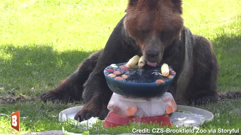 Zoo Animals Feast on Independence Day SNACKS in Red, White, and Blue