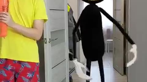 Prank over cartoon cat _ short