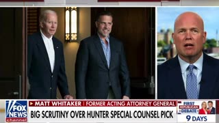 Matt Whitaker -This is a purely political process