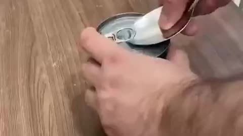 Lifehack open cans the right way