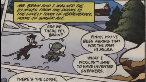 Newbie's Perspective Pinky and the Brain Issue 11 Review