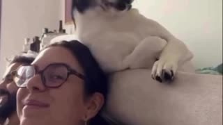 Dog likes the girl 🤣🤣🤣🤣👍