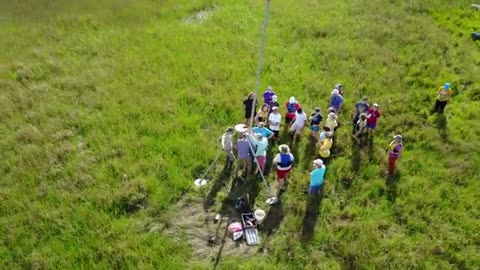 Louisiana salt marsh & bayou