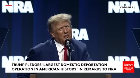 Trump Pledges To Carry Out 'The Largest Domestic Deportation Operation In American History'