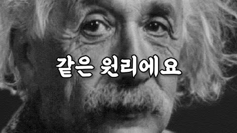 코끼리 귀가 큰이유