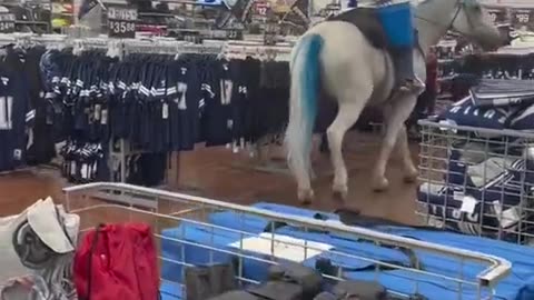 Dude rides a horse inside Walmart