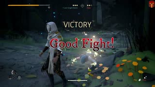 Absolver - White vs Blue