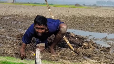 Fish Hunter Uses Arrow Technique