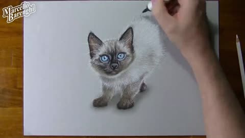 Paint The Cat With Hair
