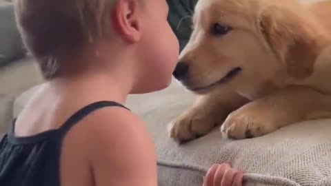 Baby and puppy kissing videos