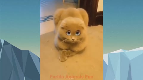 This cat will surprise you! Best Funny Cats Video,Try To Hold Back Laughter Funny Cats