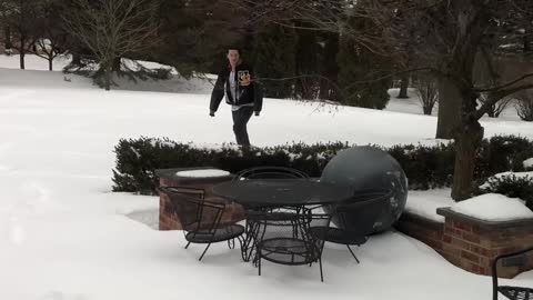 Puppy Loves Playing with Yoga Ball in the Snow