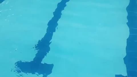 Rotina de tratamento da piscina