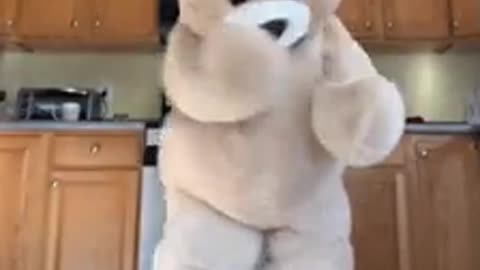 Teddy bear dance