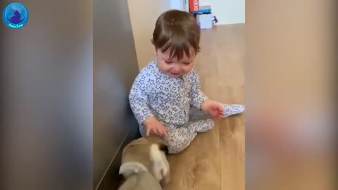 Most funny dog with cute babby ::🐼🐼🦊🐶
