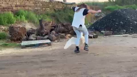 Angry Goose Attack