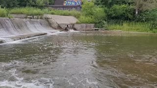 Fish ladder