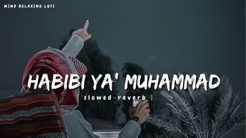 ya habibi ya muhammad(s.a.w)